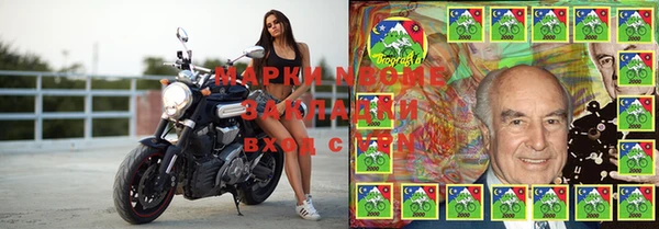 прущие грибы Касимов