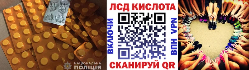 darknet как зайти  цена наркотик  Порхов  ЛСД экстази кислота  omg рабочий сайт 