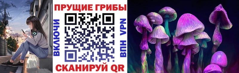дарк нет телеграм  Порхов  Галлюциногенные грибы MAGIC MUSHROOMS  МЕГА зеркало 